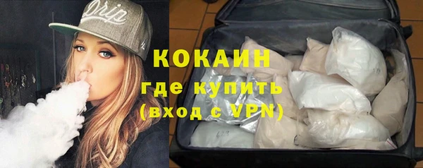 индика Армянск