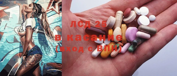 индика Армянск