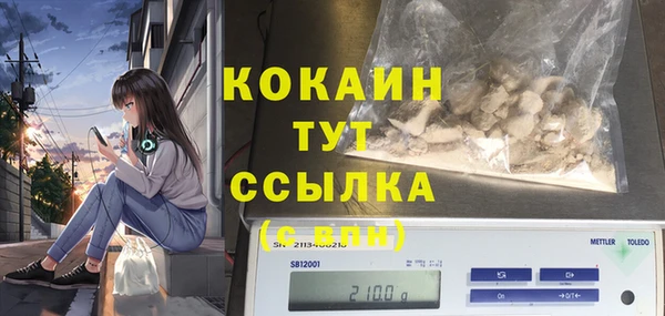 индика Армянск